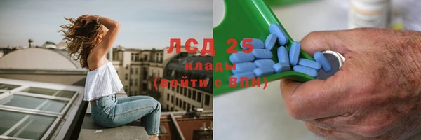 хмурый Белокуриха