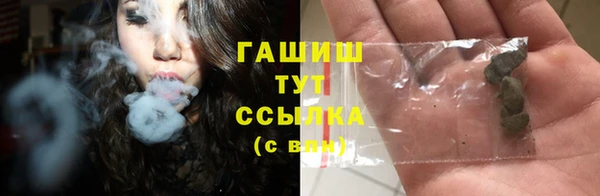 хмурый Белокуриха