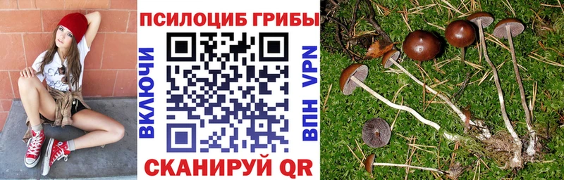 Галлюциногенные грибы прущие грибы  Богородск 